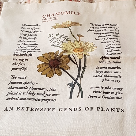 Lovely New Canvas Chamomile Print Bag - Picture 1 of 6
